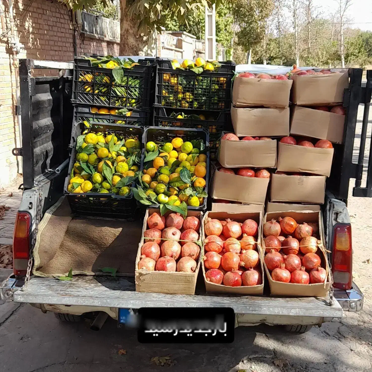 وانت۸۱|خودرو سواری و وانت|نظرآباد, نظرآباد|دیوار