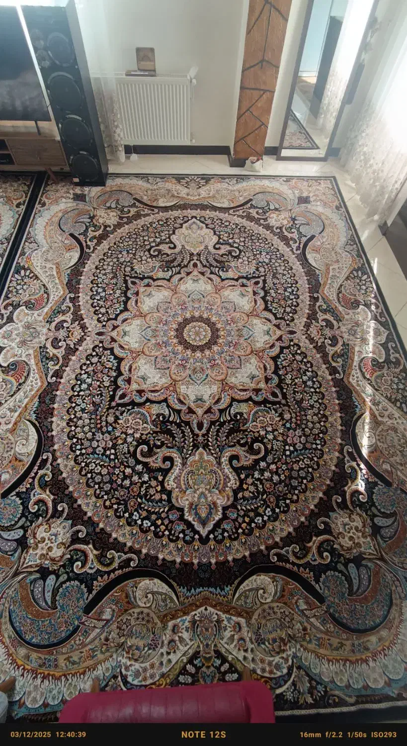 2 عدد فرش 12 متری/دستبافت گونه|فرش|شاهین‌شهر, ۹ دی|دیوار