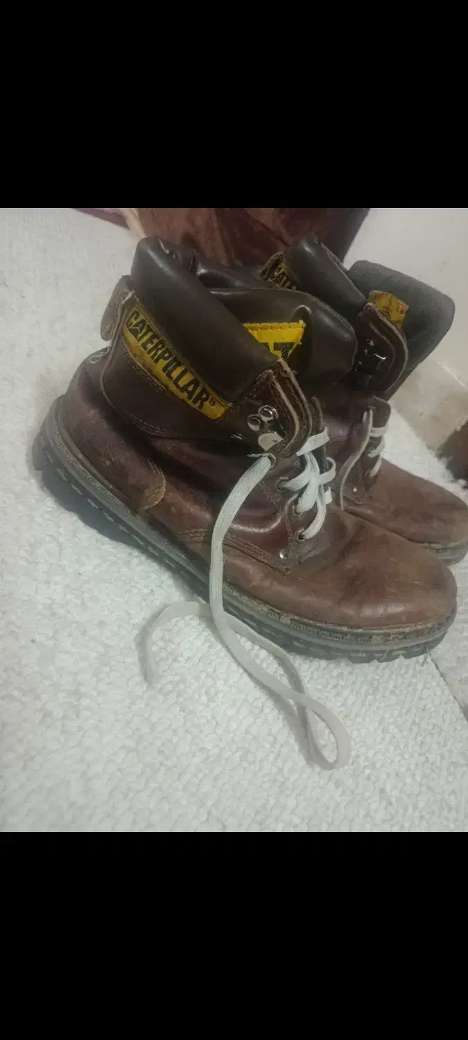 کفش cat اصل|کیف، کفش، کمربند|کازرون, |دیوار