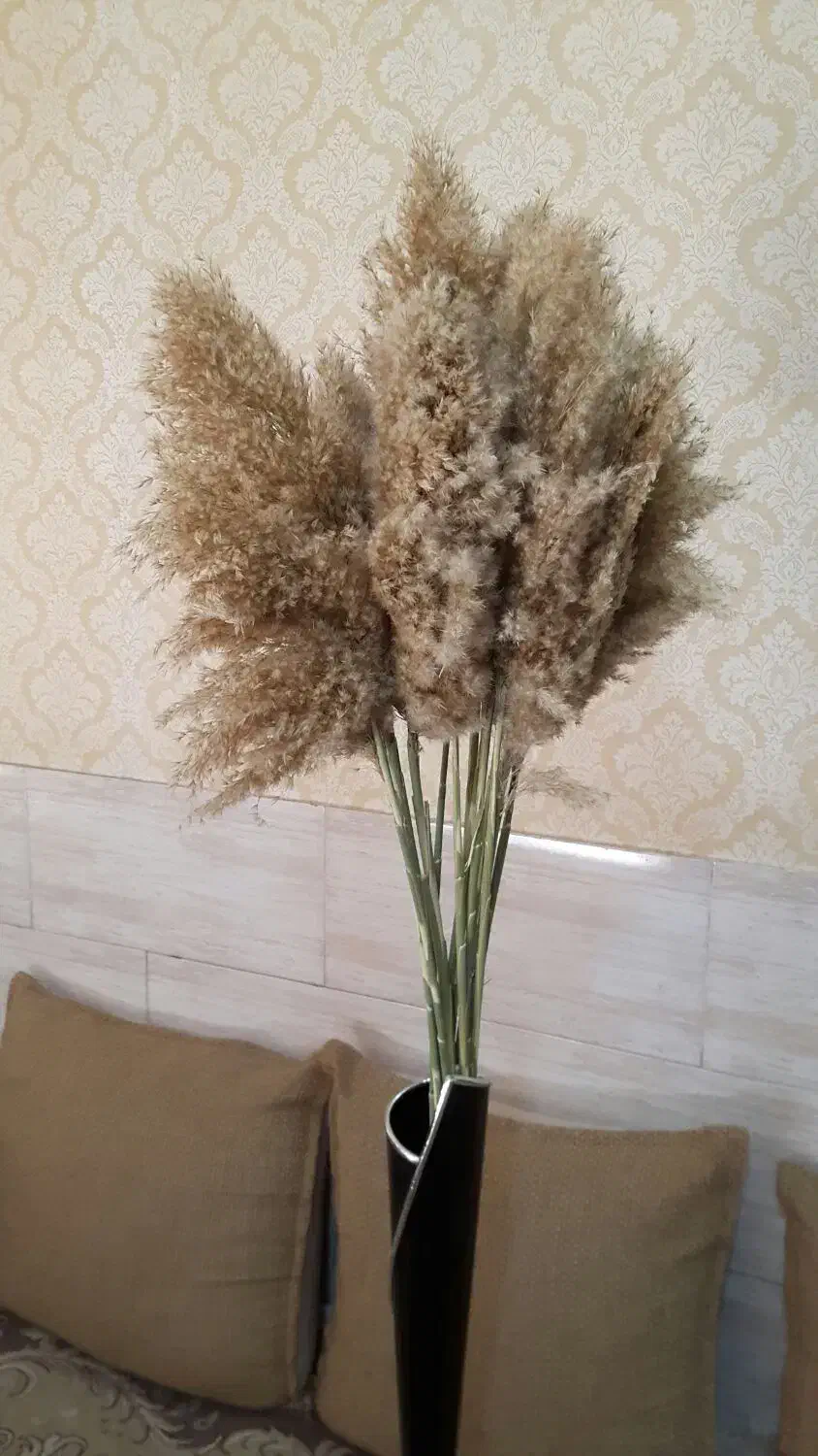 گل و گلدان|گل مصنوعی|شیراز, کوشک میدان|دیوار