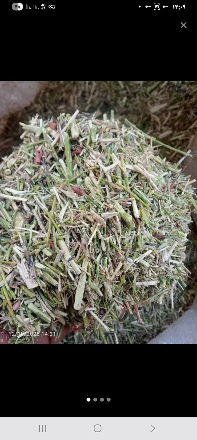 خار دانه دار نرم|لوازم جانبی حیوانات|تربت جام, جامرود|دیوار