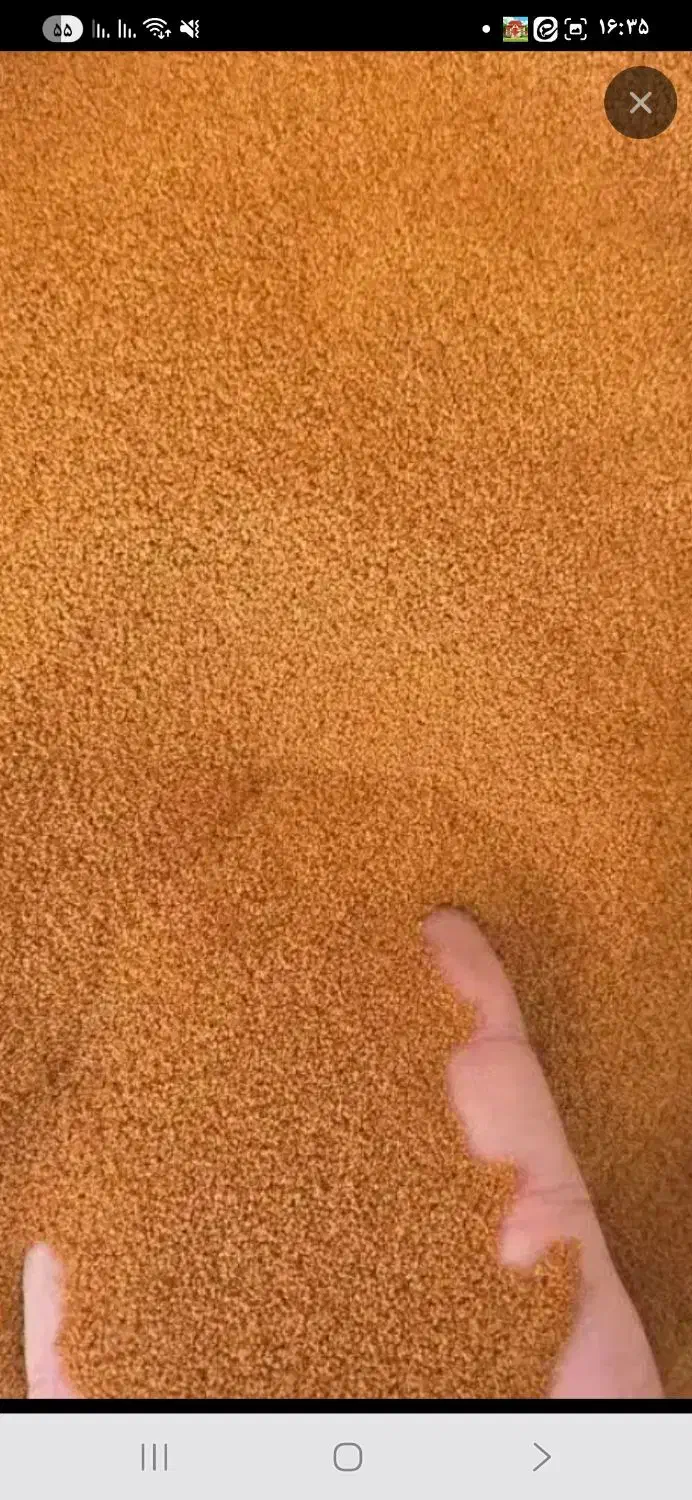 خاکشیر|خوردنی و آشامیدنی|اصفهان, دانشگاه افسری امیرالمومنین|دیوار