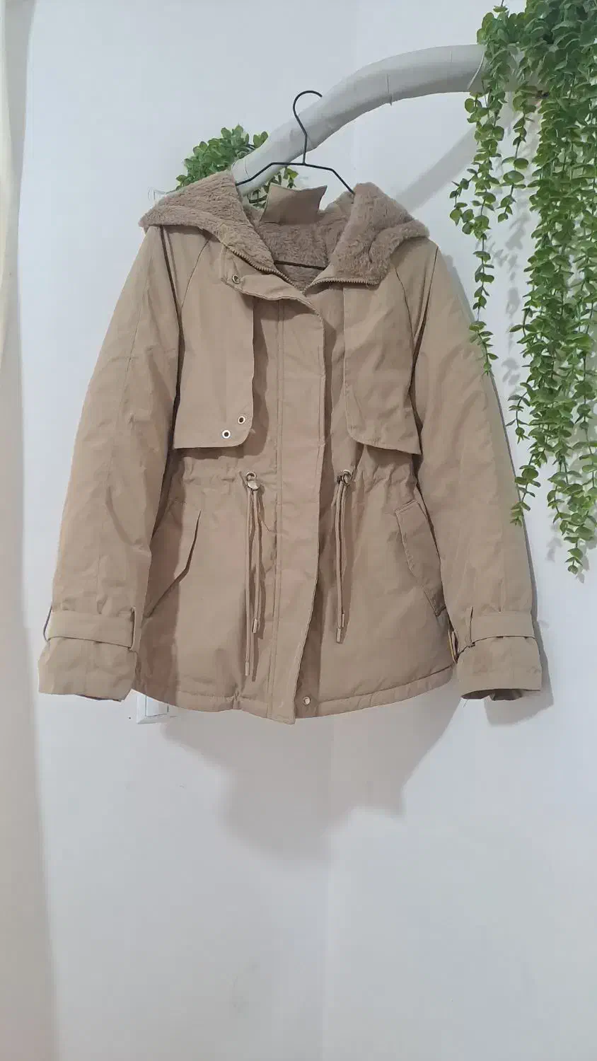 پوشیده نشده .ارزان|لباس|تالش, هشتپر|دیوار