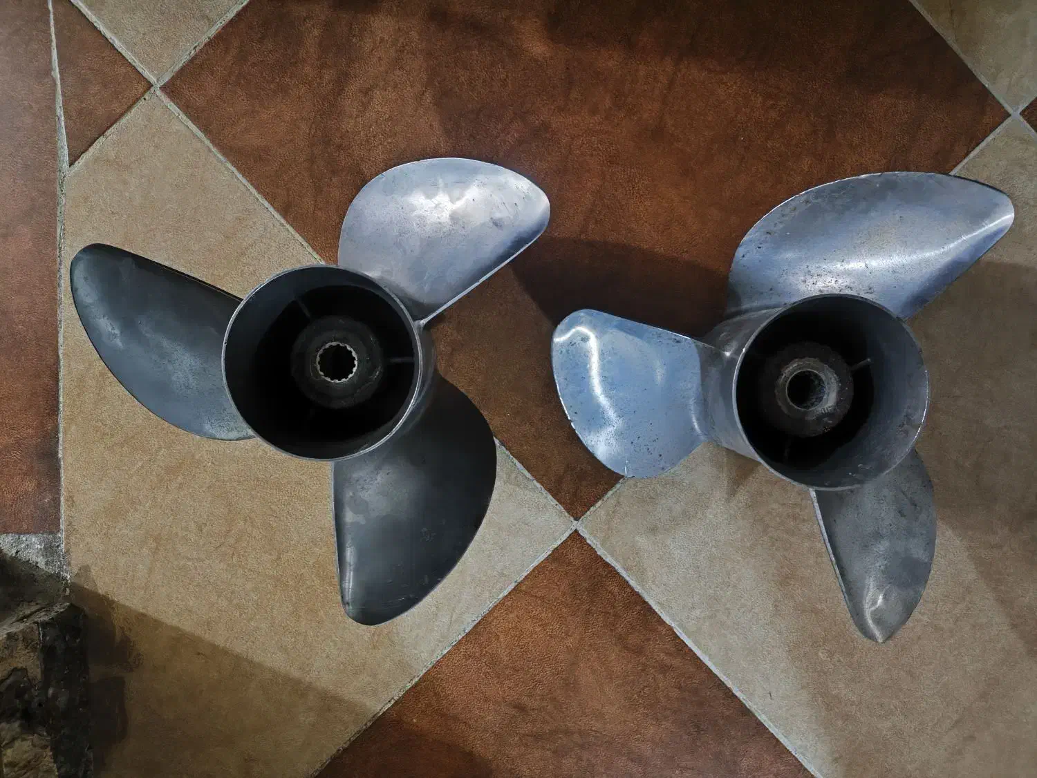 پوسته گیر وپروانه|قایق و سایر وسایل نقلیه|بمانی, |دیوار