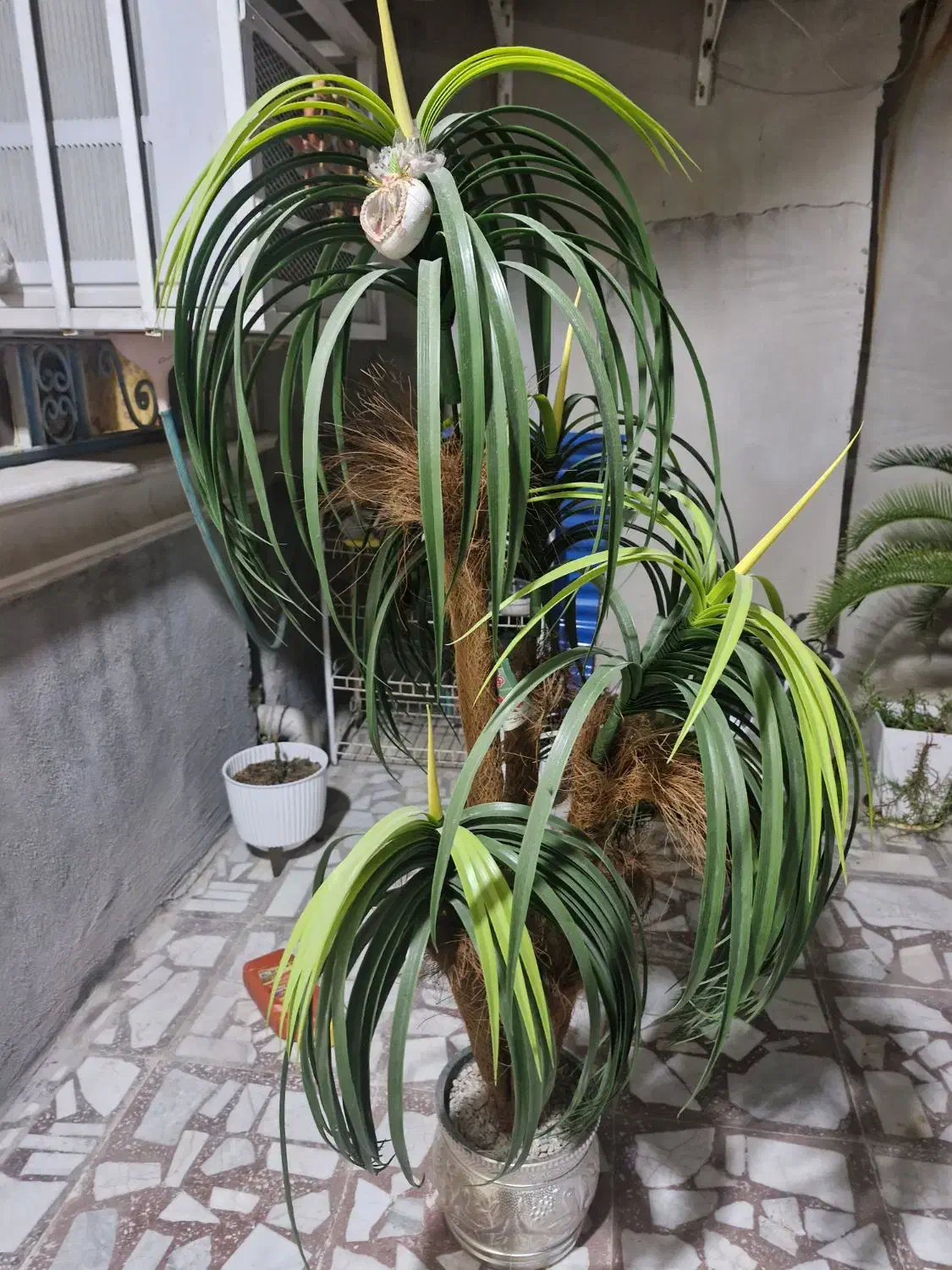 گل مصنوعی|گل مصنوعی|بندر کنگان, |دیوار