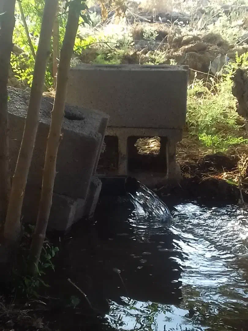 باغ باچهاردیواری ۳اتاق ۴۰متری گلخانه ۷۰۰متربرق|فروش دفتر صنعتی، کشاورزی، تجاری|فشاپویه, |دیوار