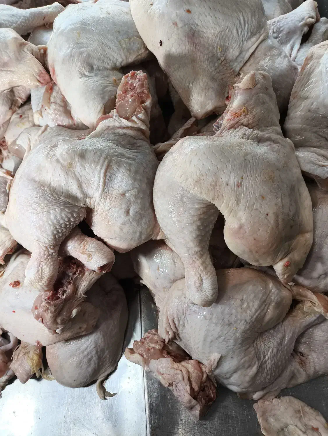 ران مرغ با کمر|خوردنی و آشامیدنی|تهران, شادآباد|دیوار