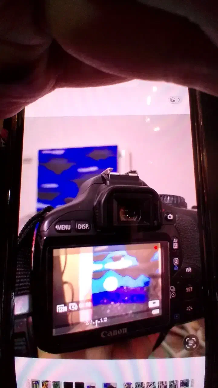 دوربین عکاسی|دوربین عکاسی و فیلم‌برداری|آستارا, |دیوار