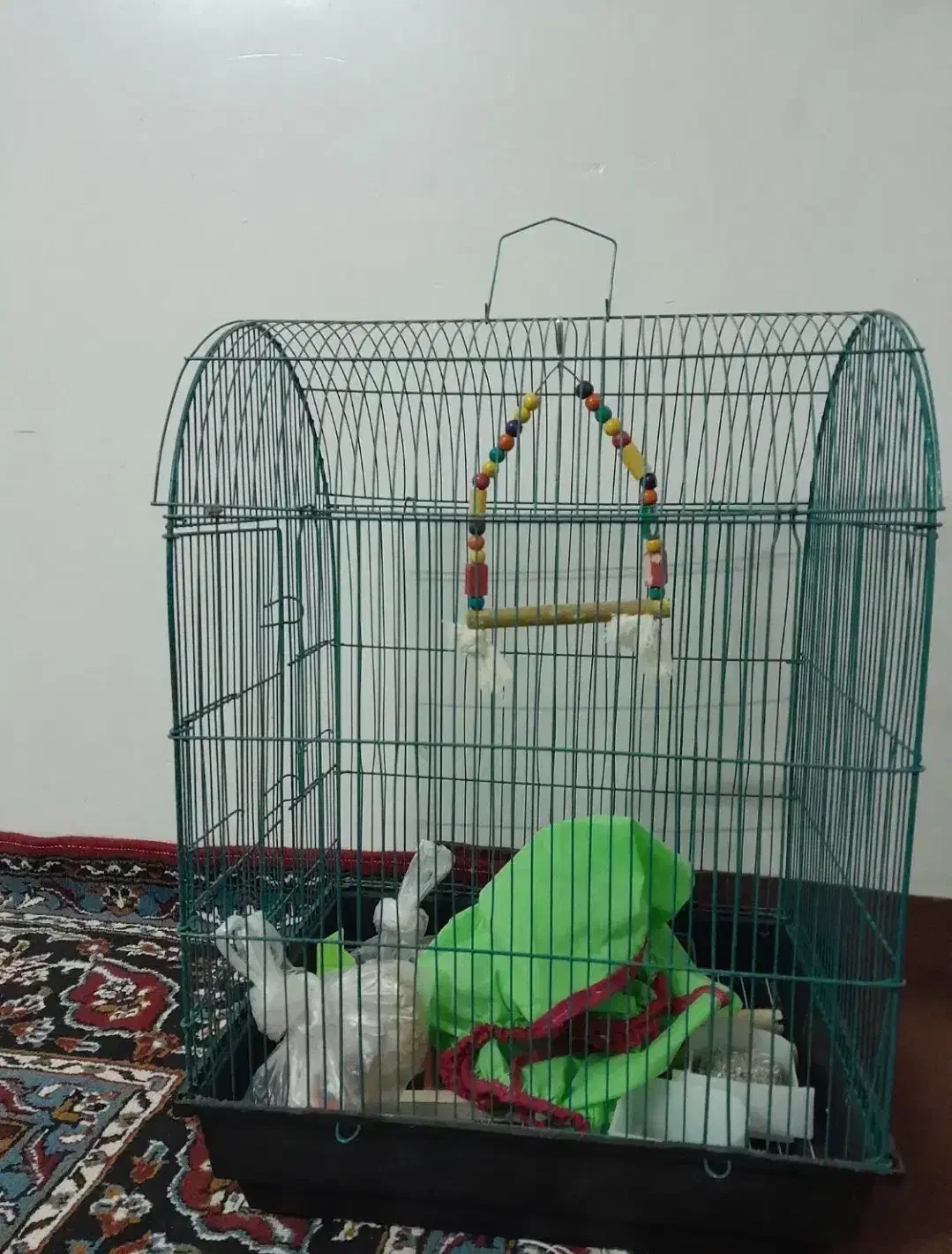 قفس عروس هلندی|لوازم جانبی حیوانات|مینودشت, |دیوار