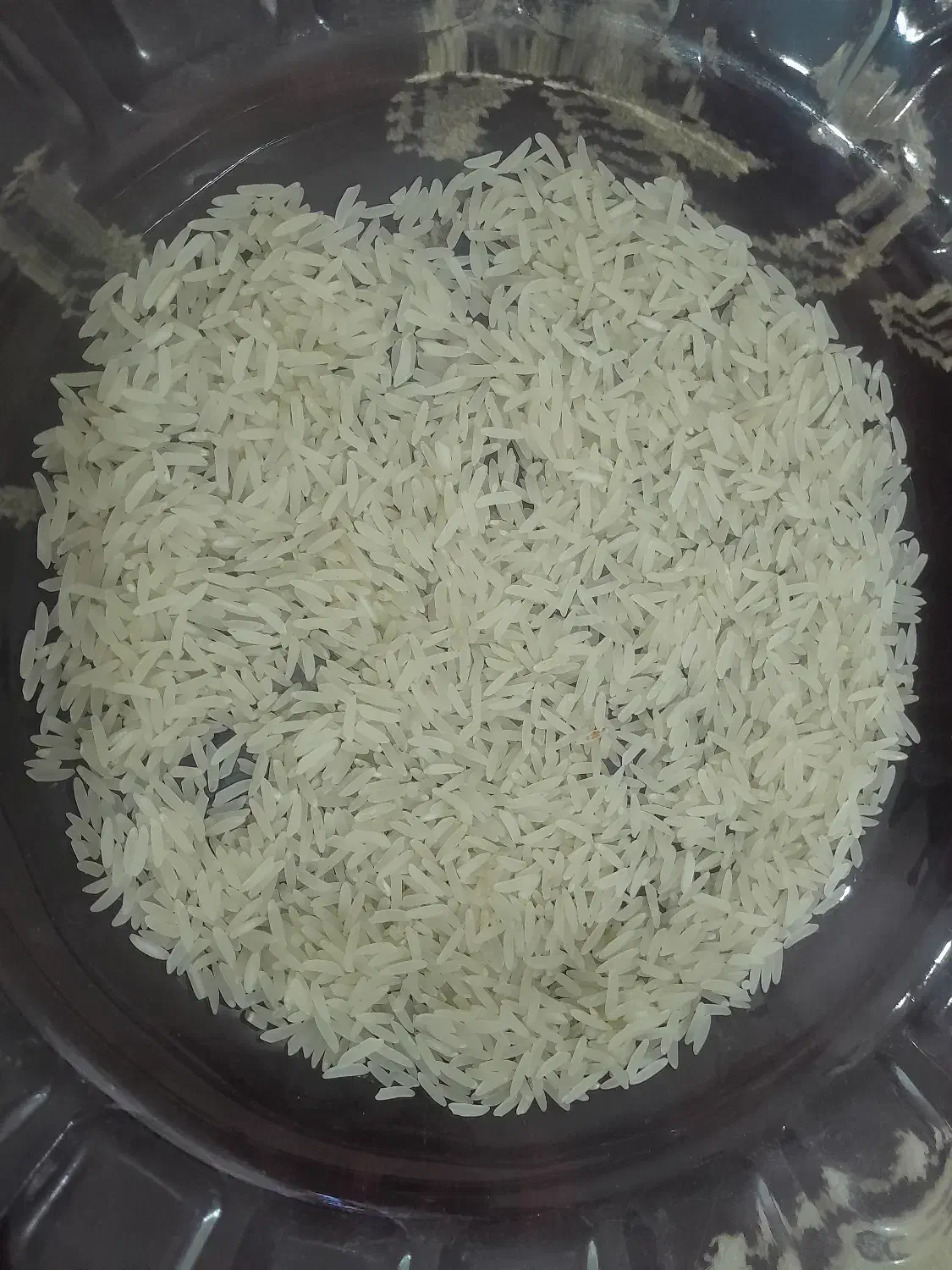 برنج فجر سوزنی دوالکه|خوردنی و آشامیدنی|فاضل آباد, |دیوار