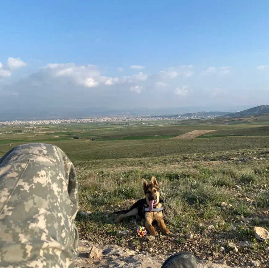 سگ ژرمن|سگ|بجنورد, |دیوار