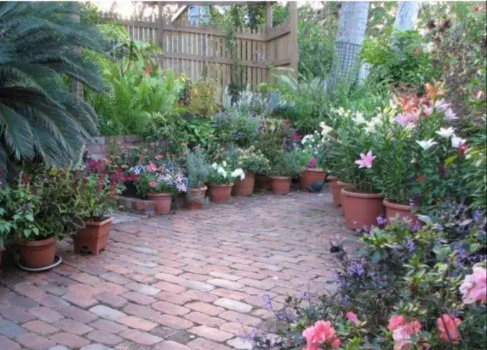 خدمات گل کاری. باغبانی. سم پاشی و..|خدمات باغبانی و درختکاری|تهران, مینی‌سیتی (شهرک نفت)|دیوار