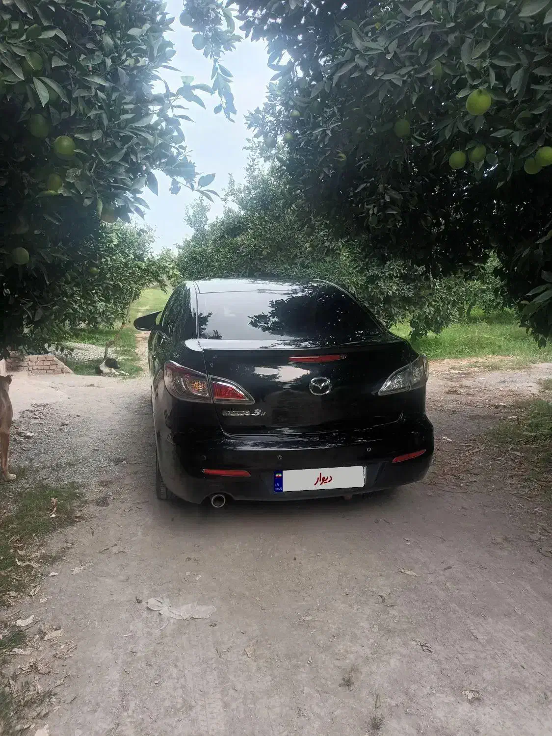 فروش مزدا نیو تیپ۳|خودرو سواری و وانت|بندر گز, |دیوار