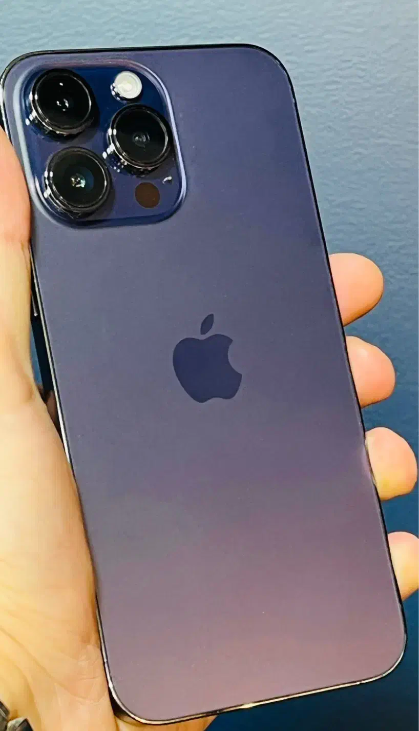 iPhone 14pro max|موبایل|رشت, پاستوریزه|دیوار