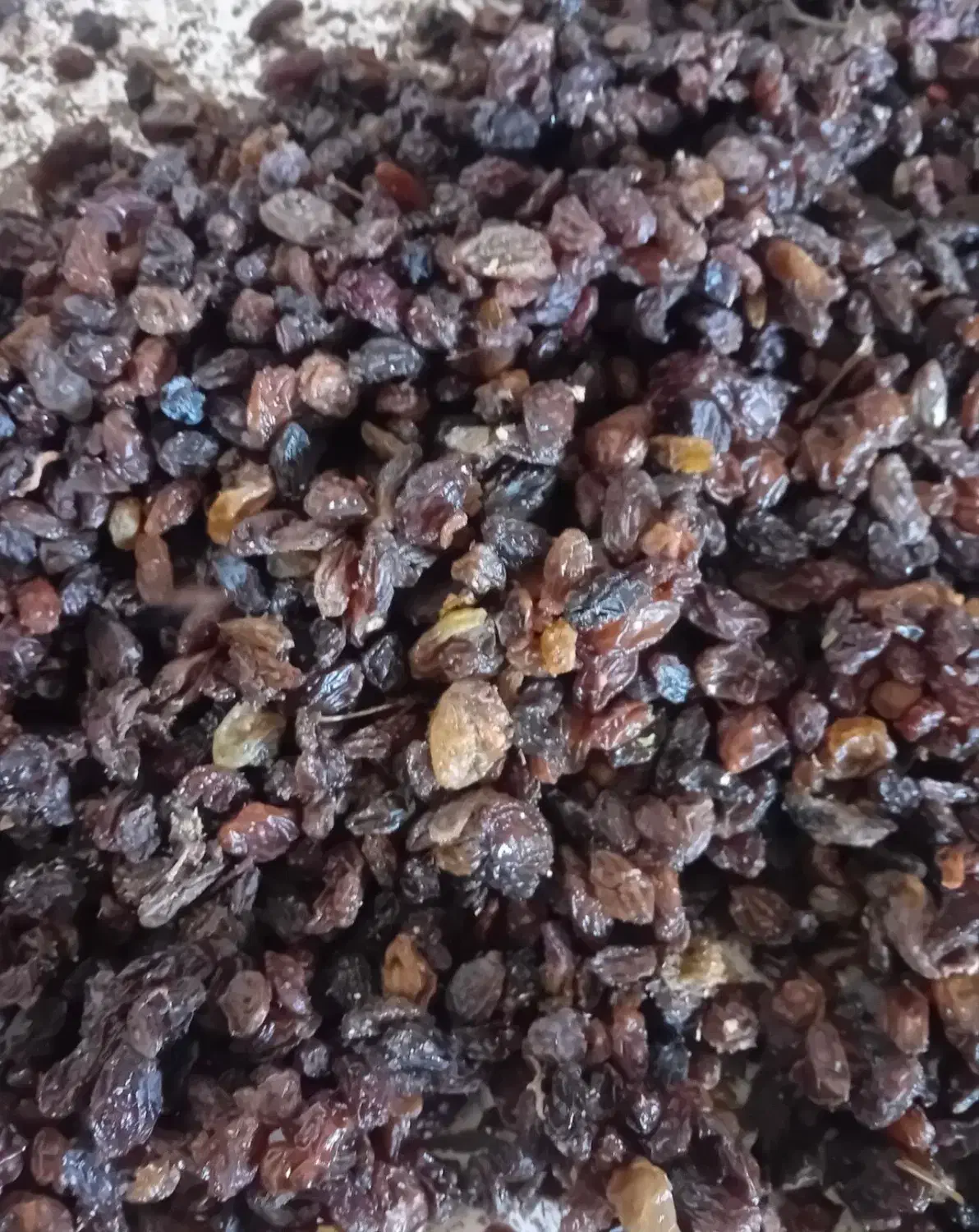 کشمش شیره ایی|خوردنی و آشامیدنی|رودسر, |دیوار