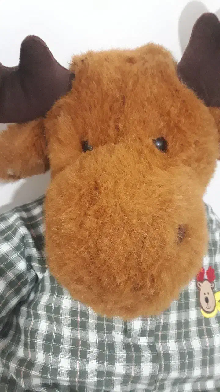 عروسک گوزن شمالی ۸۰ سانتی|اسباببازی بچه|گرگان, |دیوار