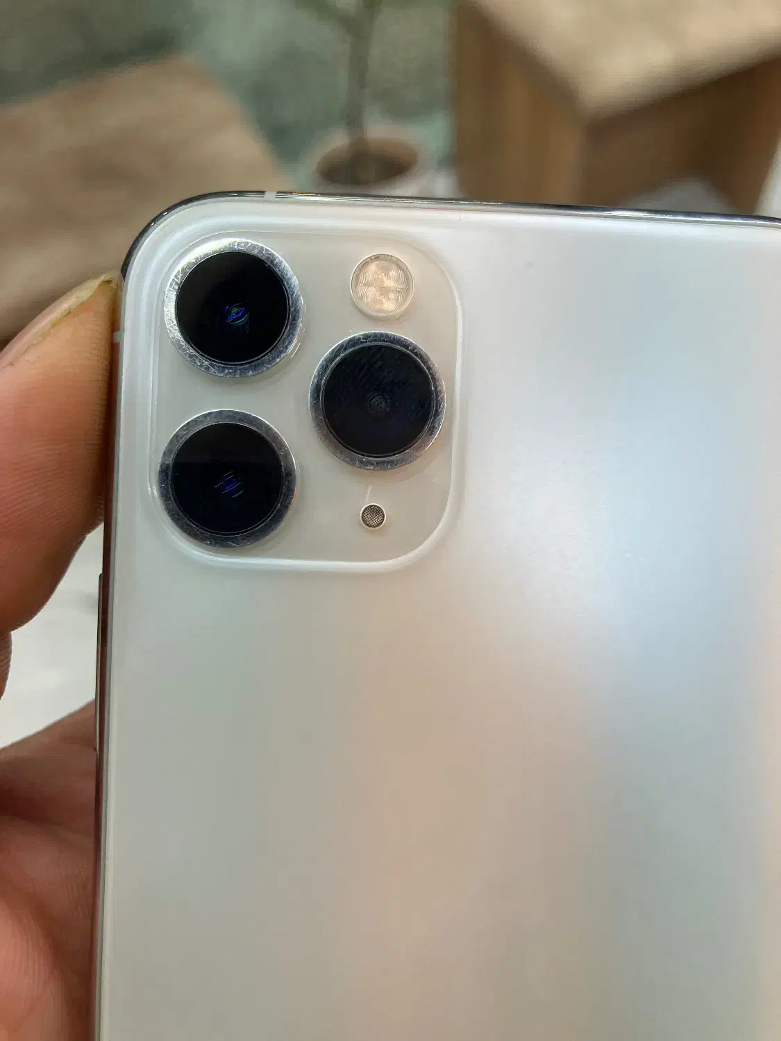 ۲ عدد آیفون ۱۱پرو|موبایل|آمل, |دیوار