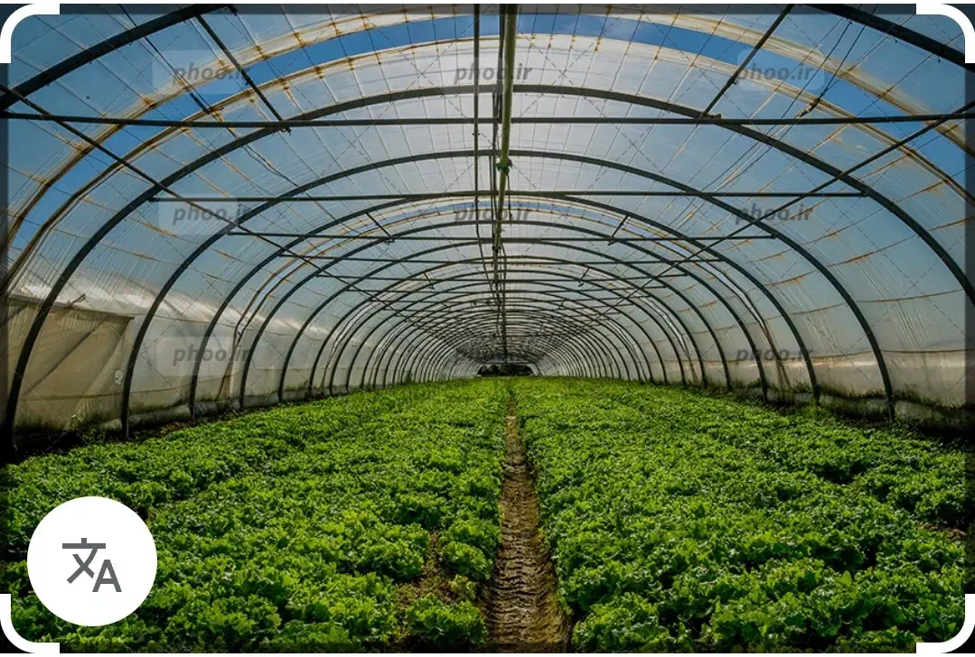 ۷۰۶۶متر زمین ابتدای جاده گلمکان(گلخانه،ویلا)|فروش زمین و ملک کلنگی|مشهد, شریف|دیوار