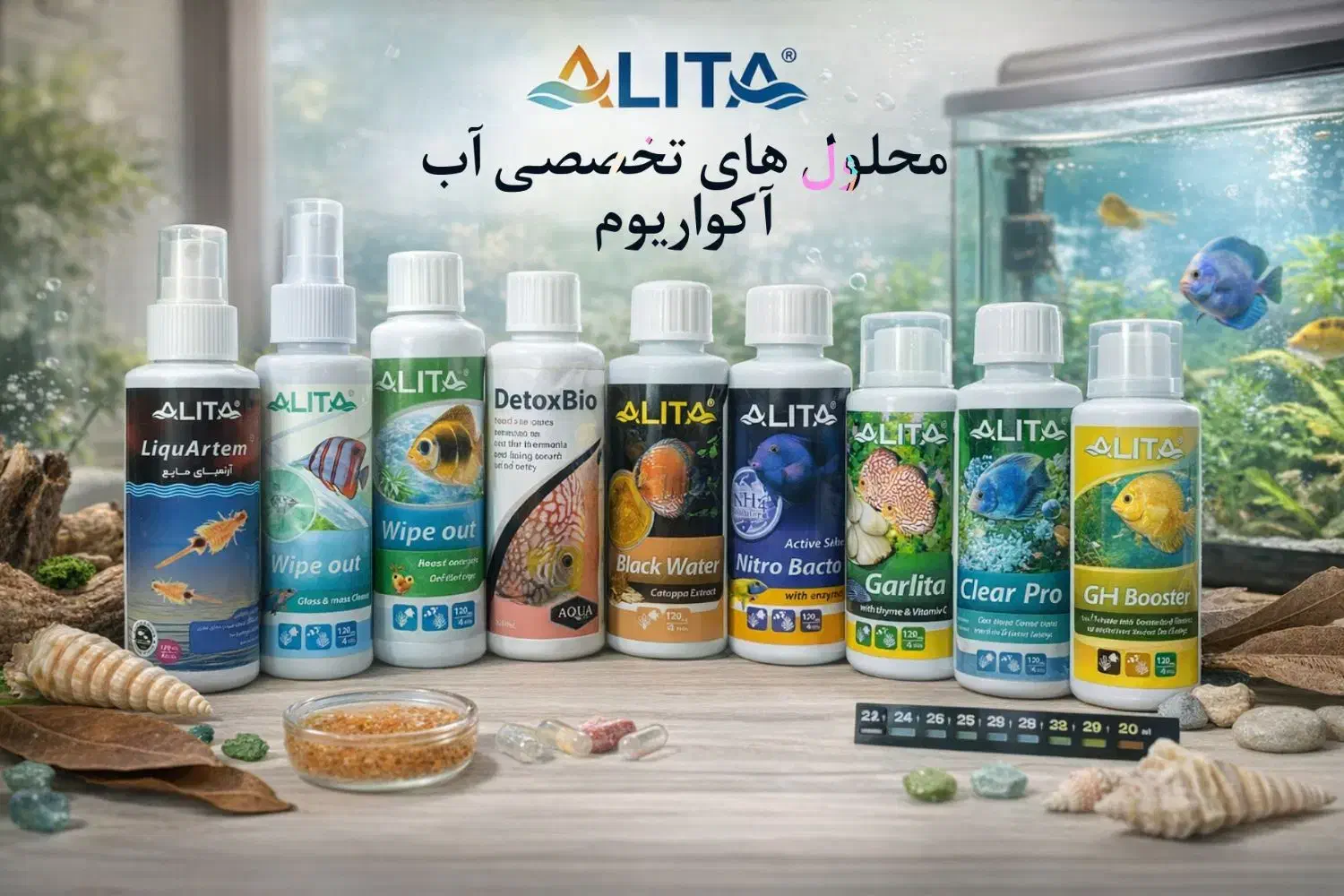 تخفیفات ویژه شب یلدا ماهی و لوازم|ماهی|مشهد, انقلاب|دیوار