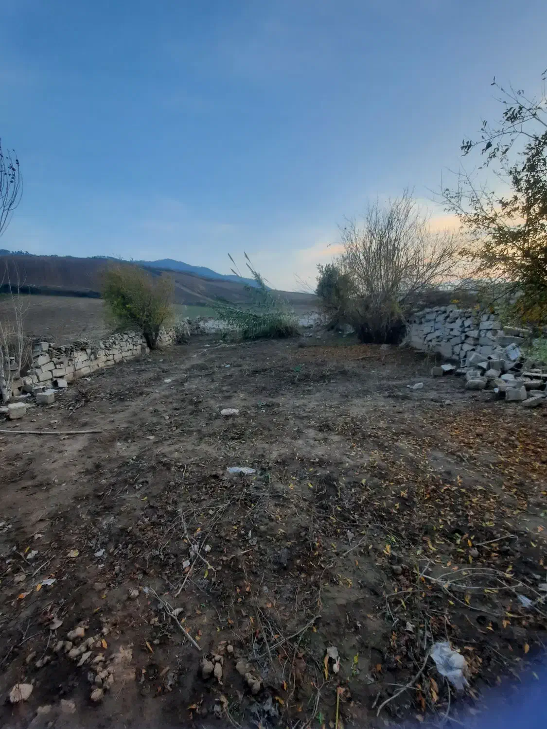 زمین باغی|فروش دفتر صنعتی، کشاورزی، تجاری|آزادشهر, |دیوار