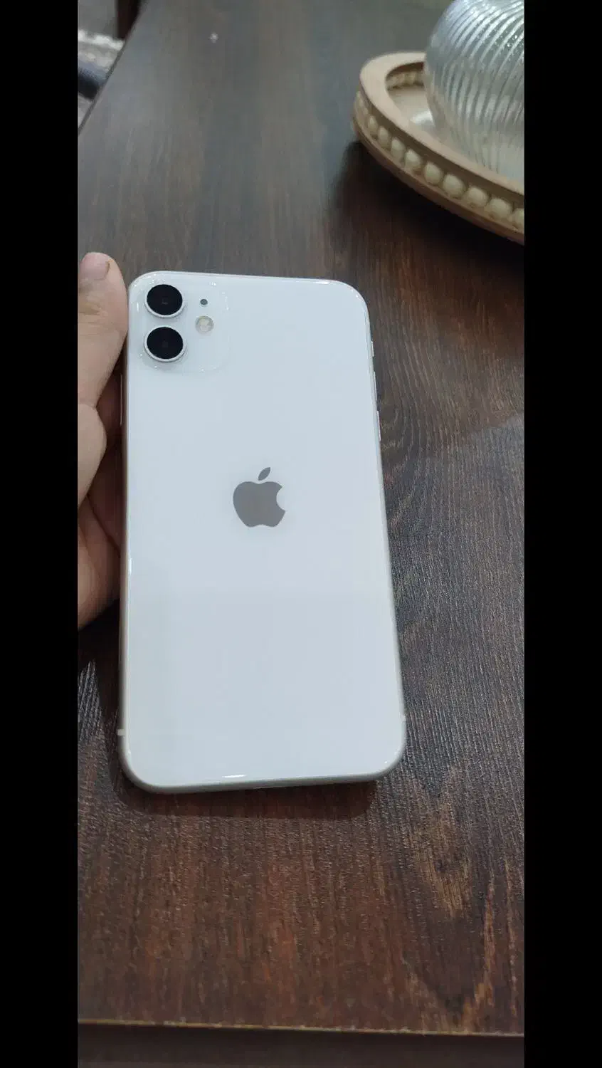 گوشی آیفون 11نرمال تک سیم|موبایل|تالش, طولارود|دیوار