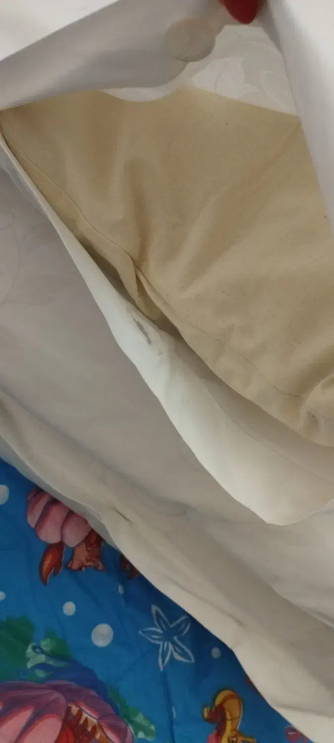 تشک تک نفره پشم گوسفندی|رختخواب، بالش، پتو|ارومیه, |دیوار