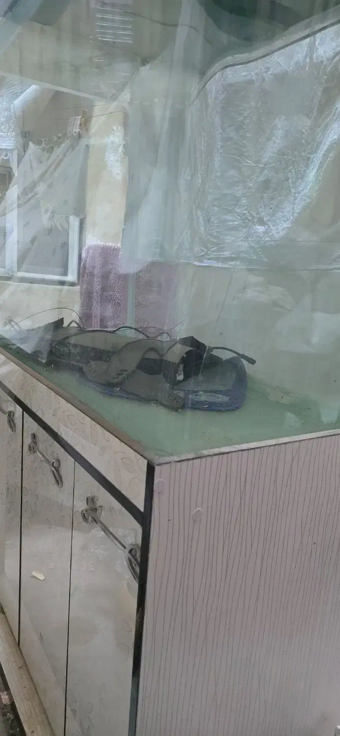 یک آکواریوم بزرگ شیشه خم  پلنت مانستر|ماهی|تهران, شهید رجایی|دیوار