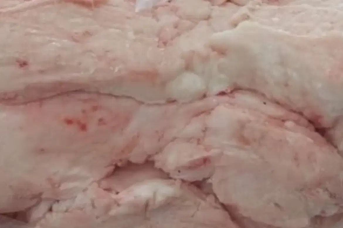 دنبه محلی|خوردنی و آشامیدنی|شاهرود, |دیوار