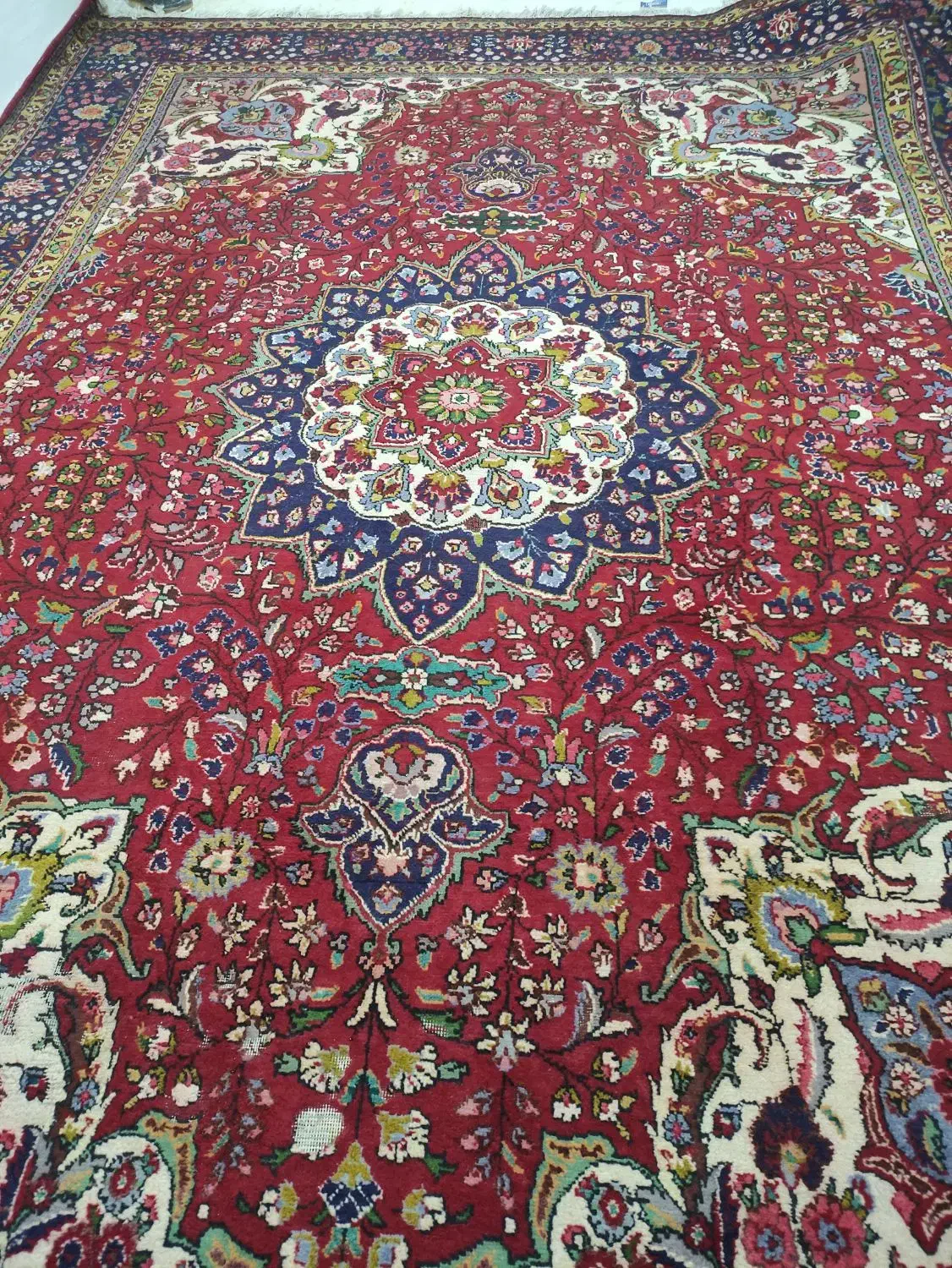 فرش طبیعی 12متری|فرش|ارومیه, |دیوار