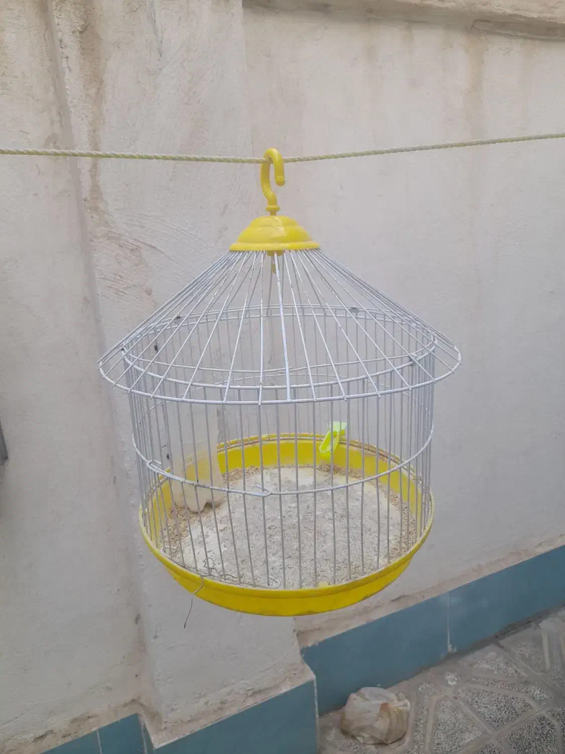 قفس پرنده|لوازم جانبی حیوانات|مشهد, شهرک مهر آباد|دیوار