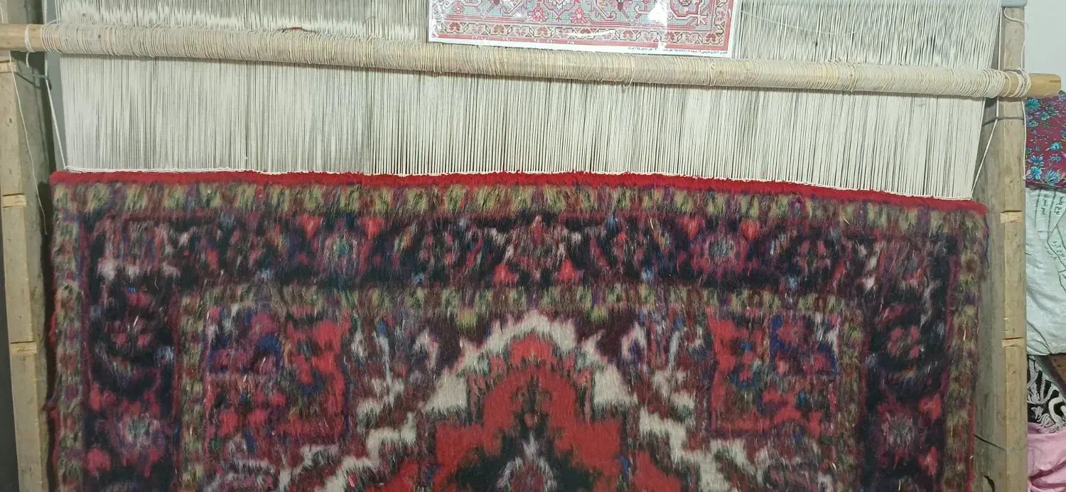 فرش هریس تاجری|فرش|تبریز, |دیوار