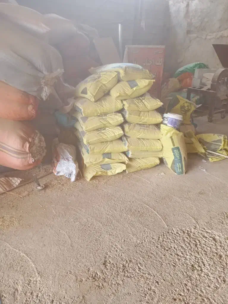 کاه دیم درجه یک|خدمات باغبانی و درختکاری|مسجد سلیمان, |دیوار