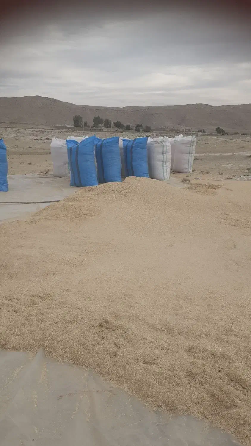 فروش کاه|خدمات باغبانی و درختکاری|دهدشت, |دیوار