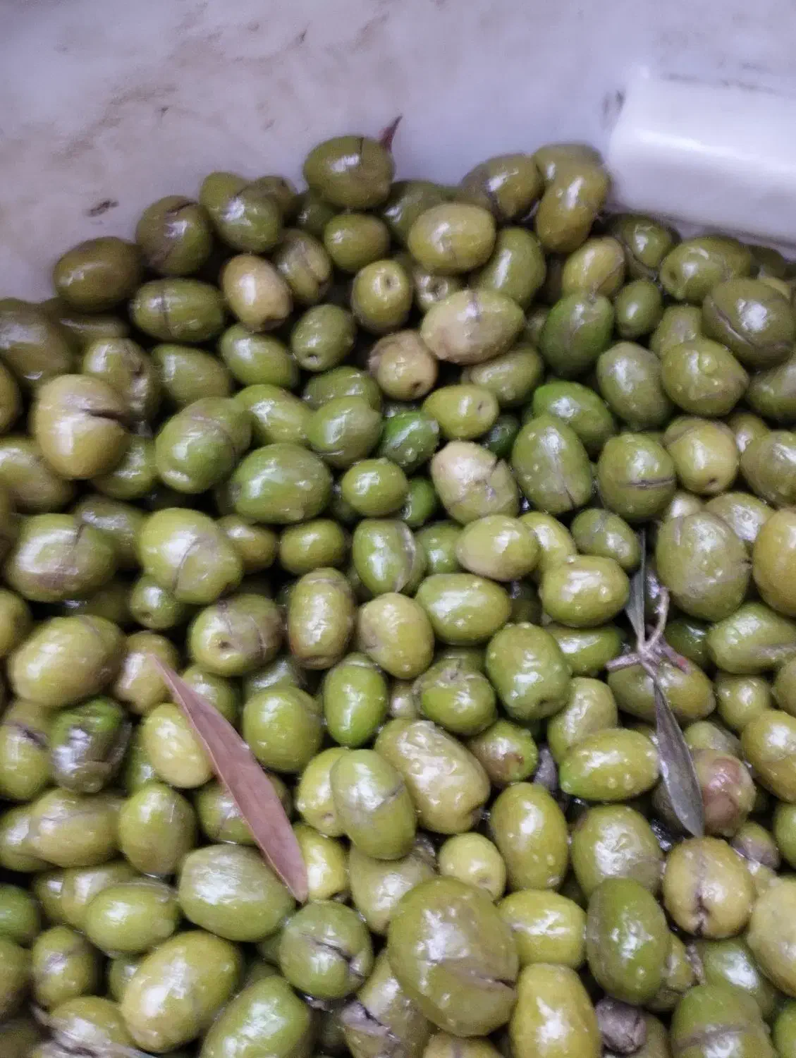 زیتون سبز و تازه|خوردنی و آشامیدنی|لاهیجان, امیرشهید|دیوار