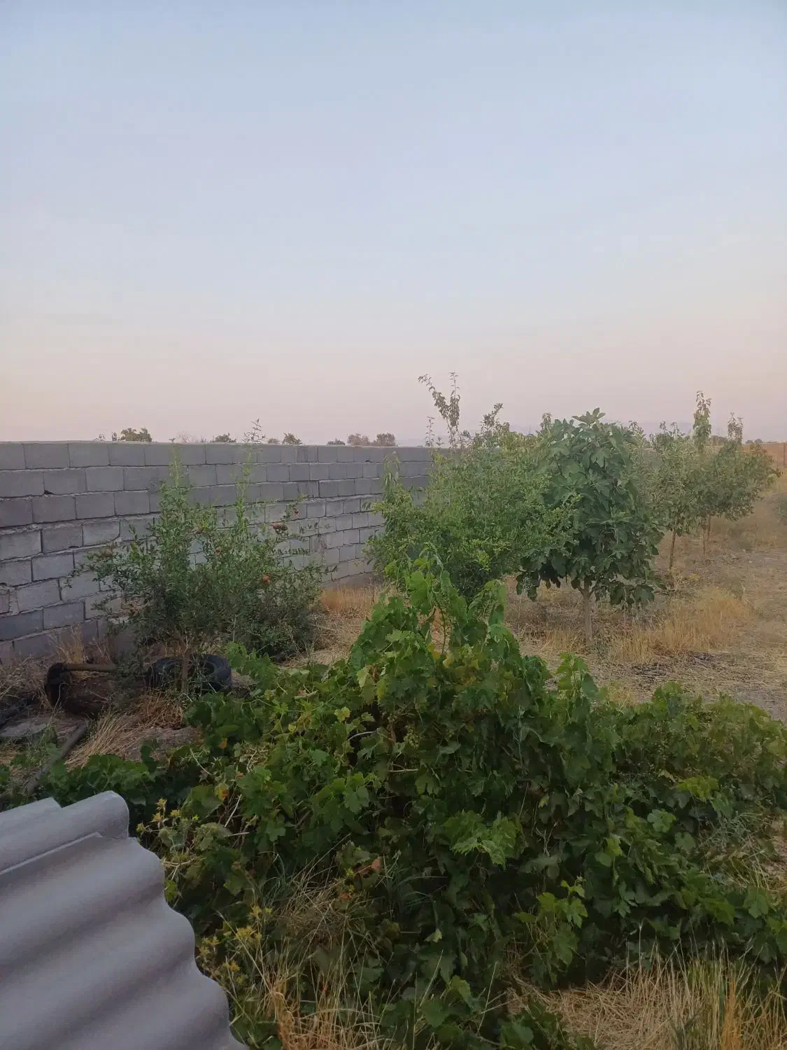 باغ ب متراژ 1500 متر|فروش خانه و ویلا|شبستر, |دیوار