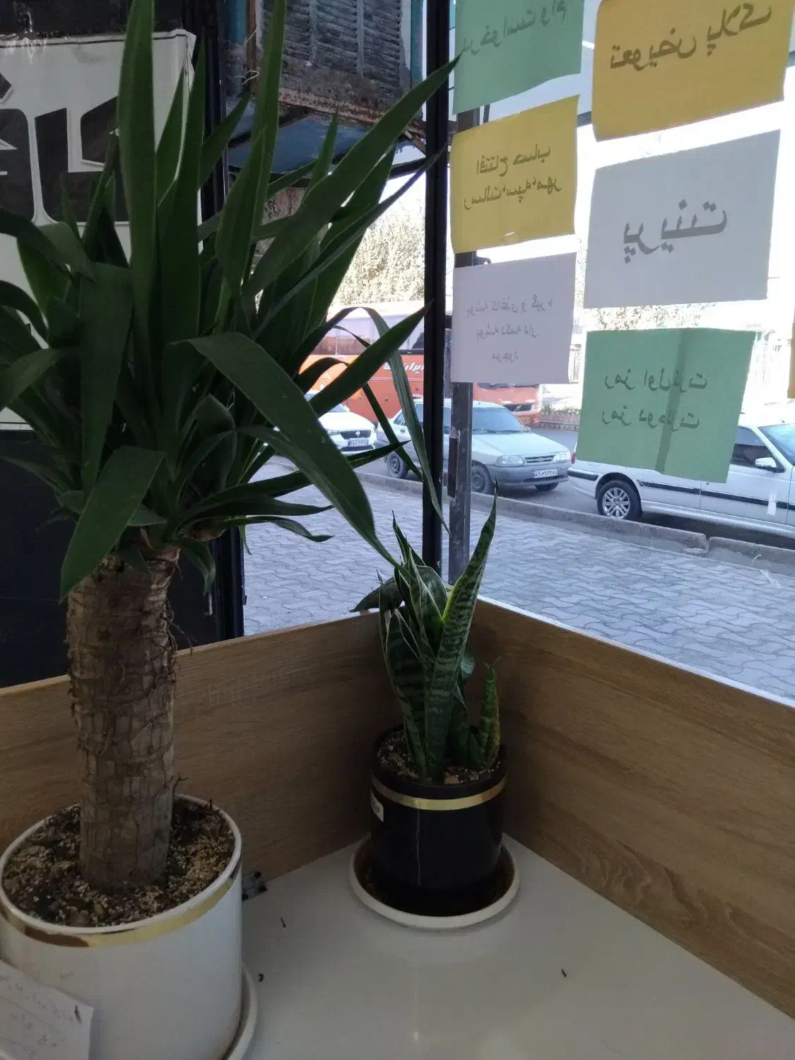 خریدار اعتبارملی|خدمات مالی، حسابداری، بیمه|سیرجان, |دیوار