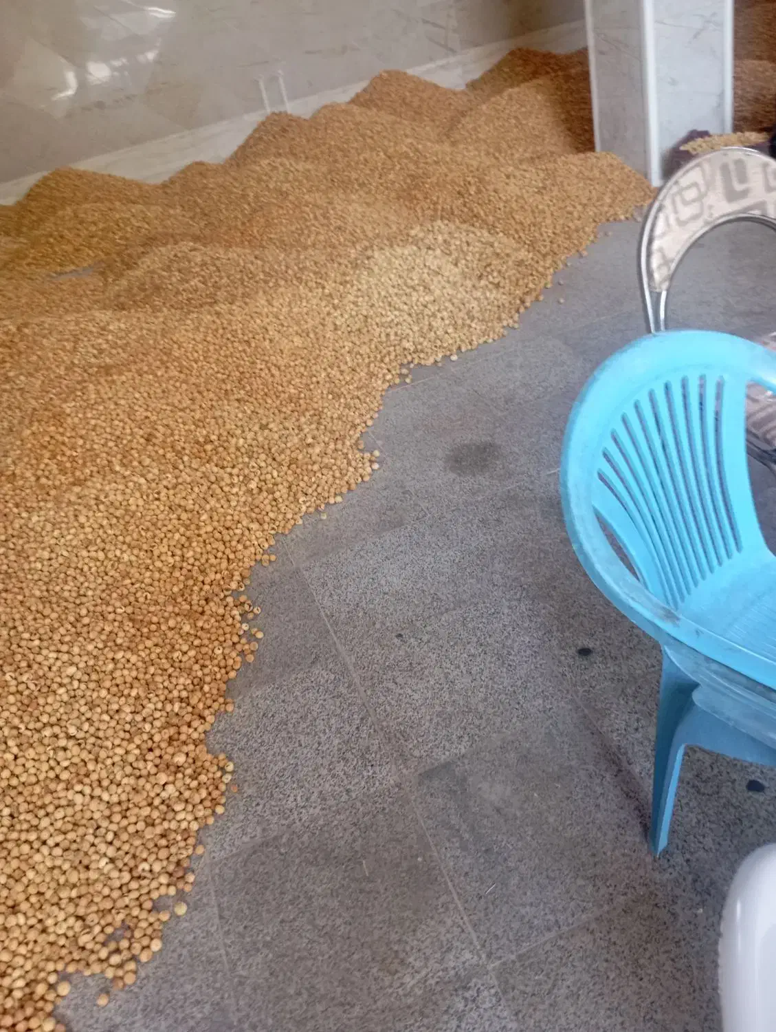 انجیر خشک استهبان، بسته‌بندی بهداشتی و تازه|خوردنی و آشامیدنی|رونیز, |دیوار