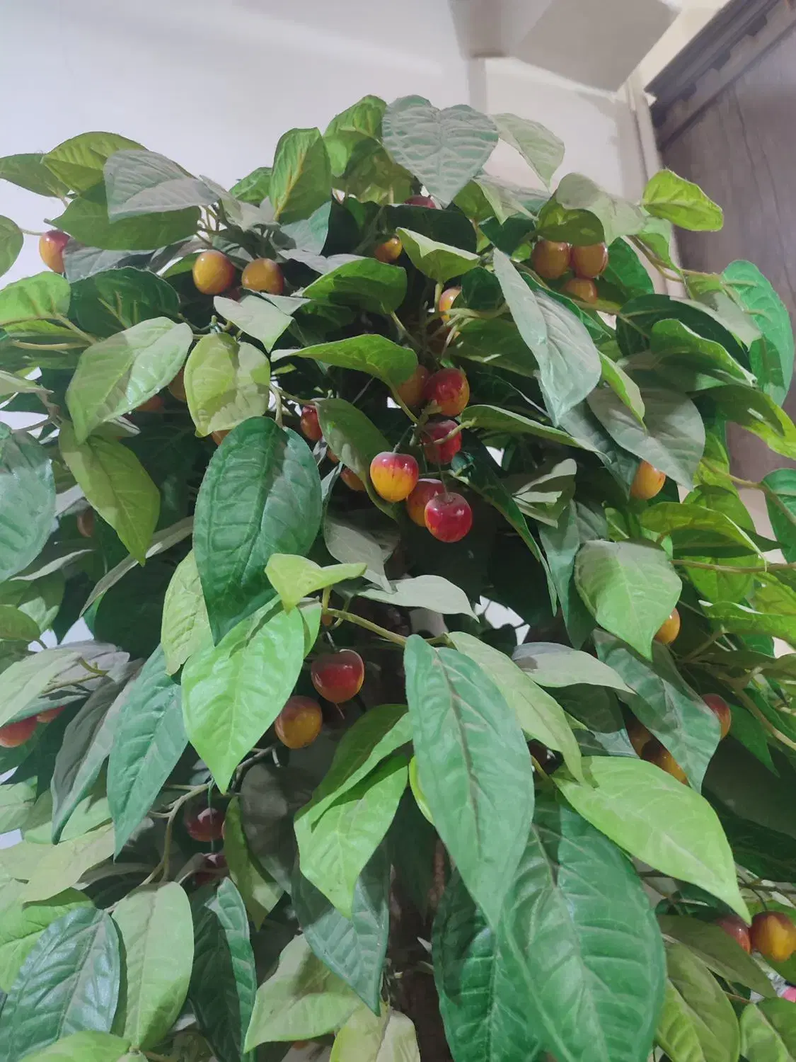 درخت|گل مصنوعی|اهواز, کوی رمضان|دیوار