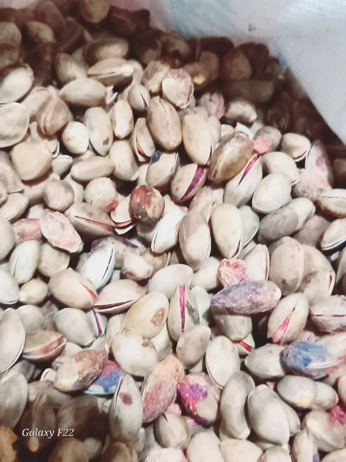 پسته کوهی خندون پسته جنگلی خندون پسته وحشی خندون|خوردنی و آشامیدنی|رضویه, |دیوار