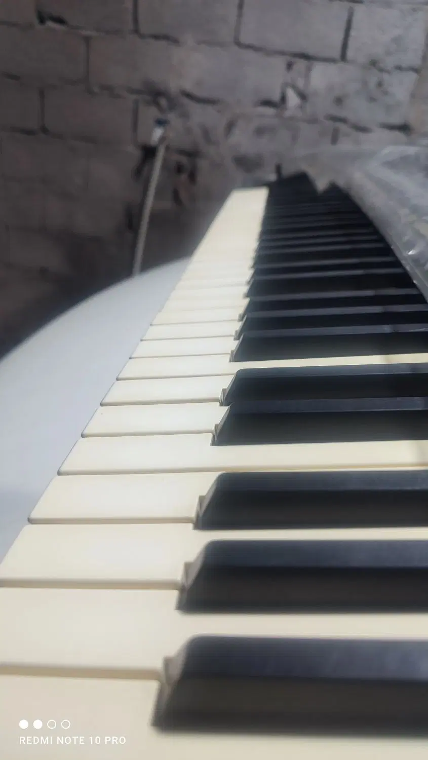 korg pa3xدرحد|پیانو، کیبورد، آکاردئون|ماهان, |دیوار