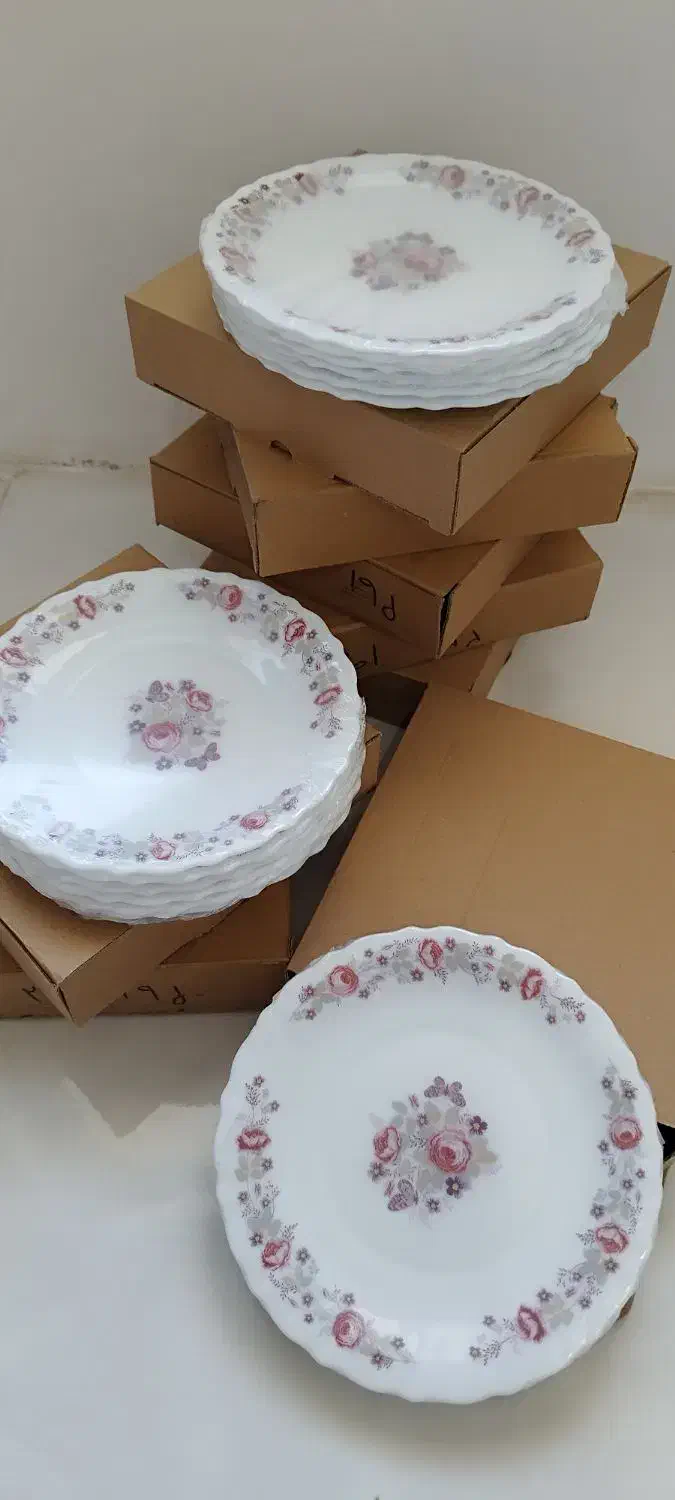 پیش دستی آرکوپال پارس اُپال نو|ظروف سرو و پذیرایی|محمدشهر, شهرک چمران|دیوار