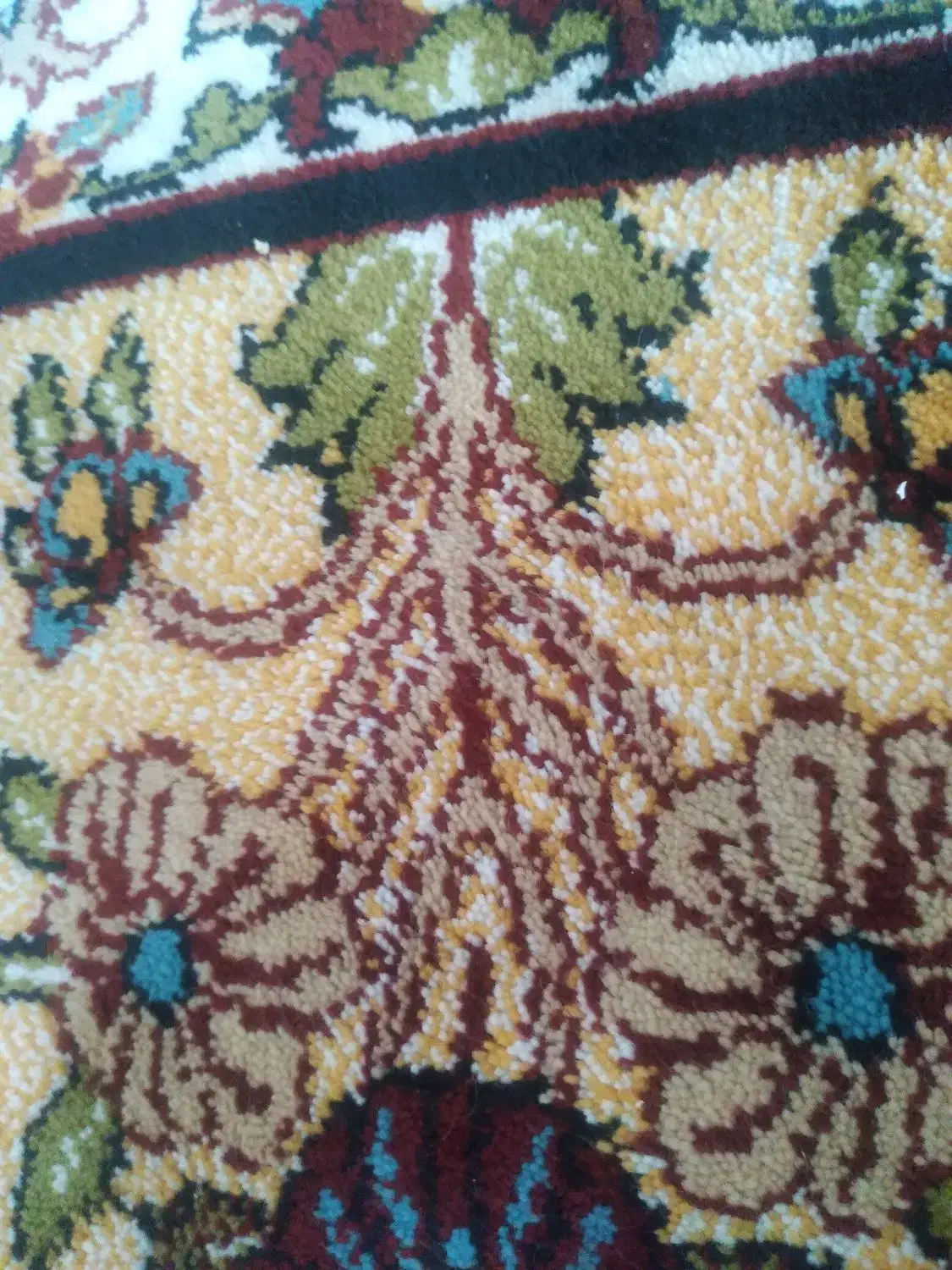 گمشده مدارک تمام خانواده|اشیا|الیگودرز, |دیوار