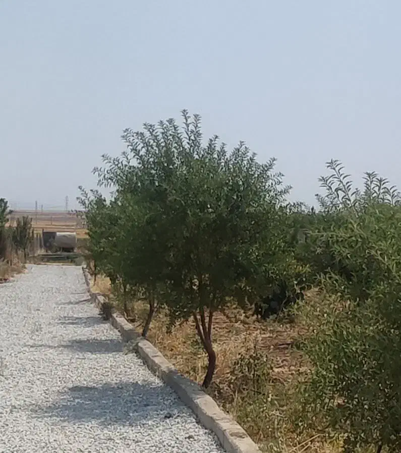 باغ۱۷۵۰متری|فروش دفتر صنعتی، کشاورزی، تجاری|کرمانشاه, |دیوار