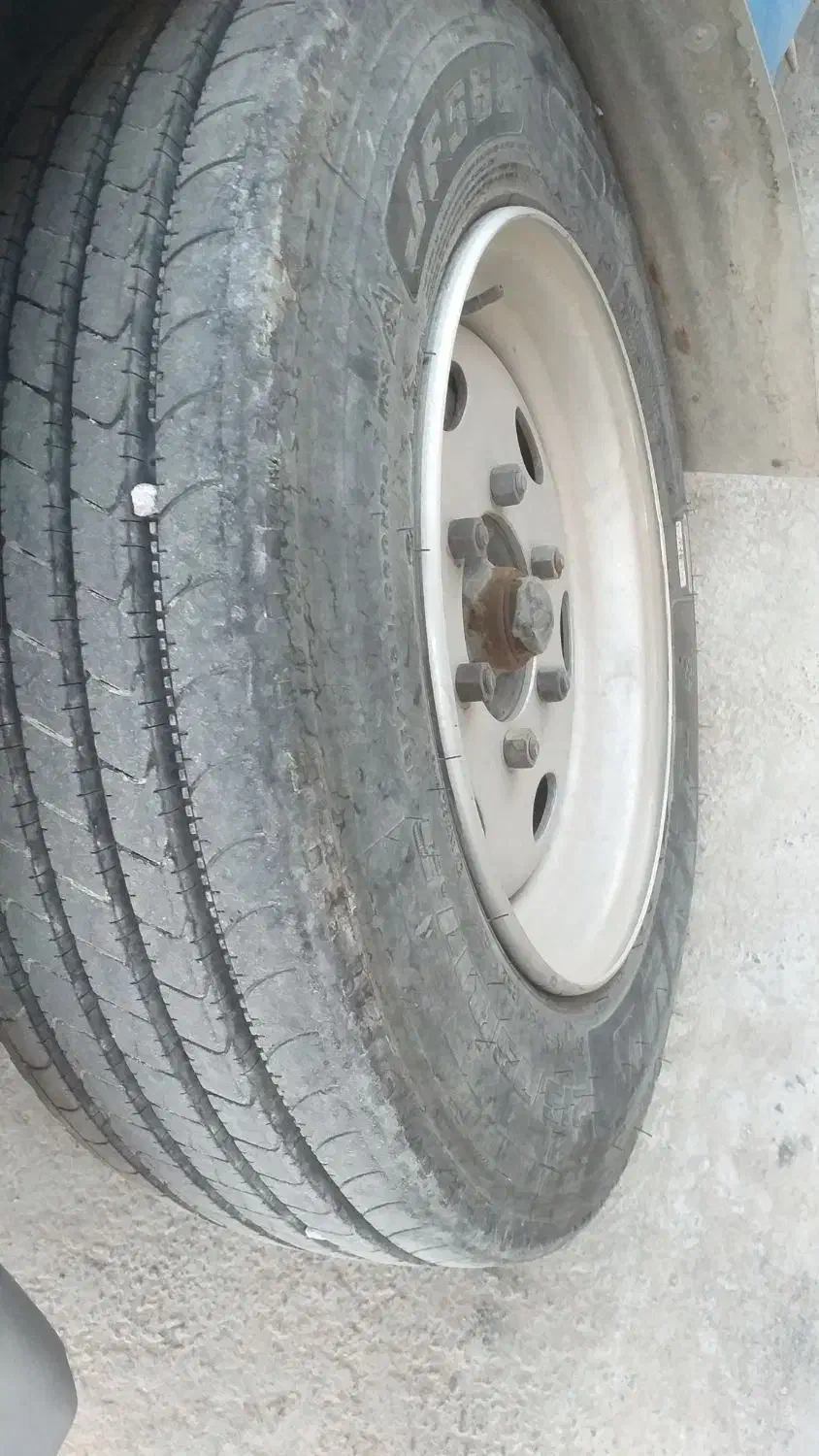 رینگ و لاستیک|قطعات یدکی و لوازم جانبی|مراغه, |دیوار