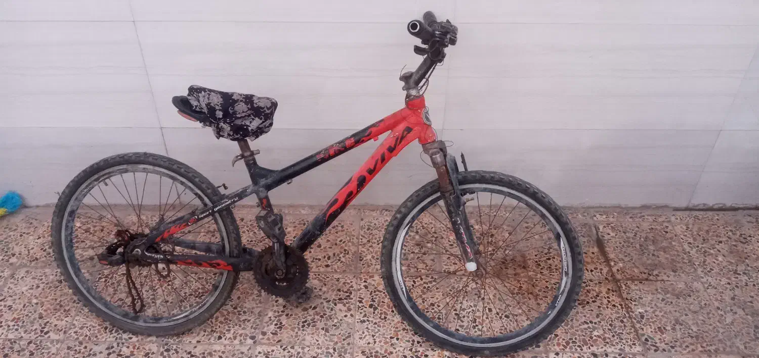 دوچرخه مدل ۲۴ ویوا|دوچرخه، اسکیت، اسکوتر|حمیدیه, |دیوار