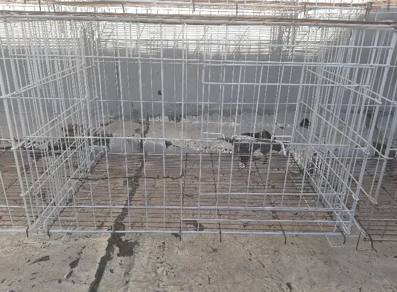 قفس کبوتر|لوازم جانبی حیوانات|ایلام, |دیوار