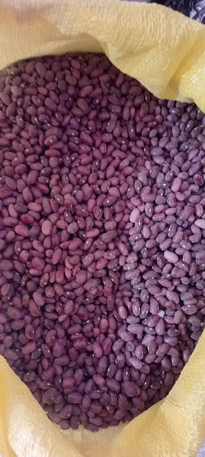 لوبیاقزمزدرجه|عمده‌فروشی|قیدار, |دیوار