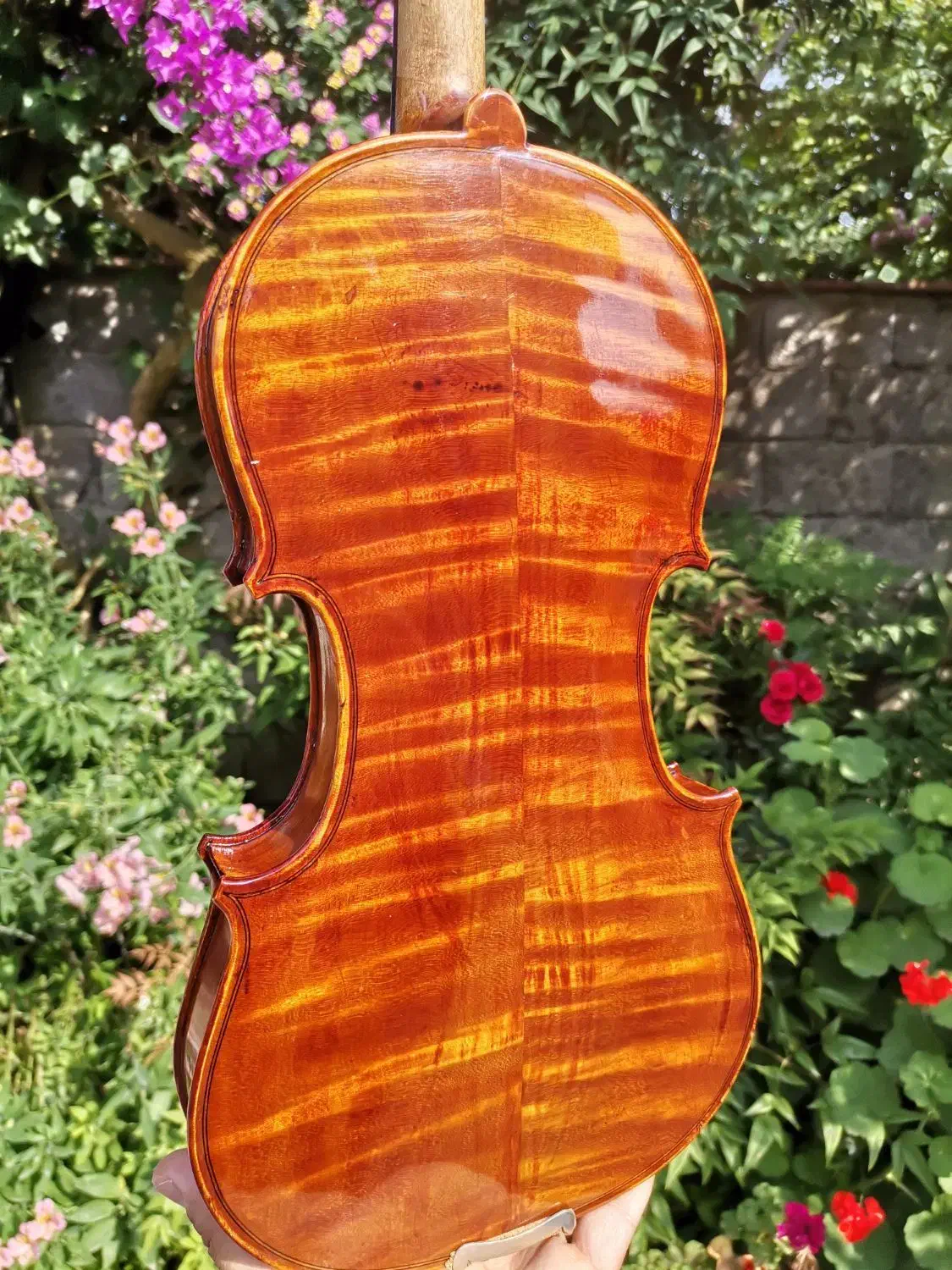 ویالن دست‌ساز برند Stagg|ویولن|نشتارود, |دیوار