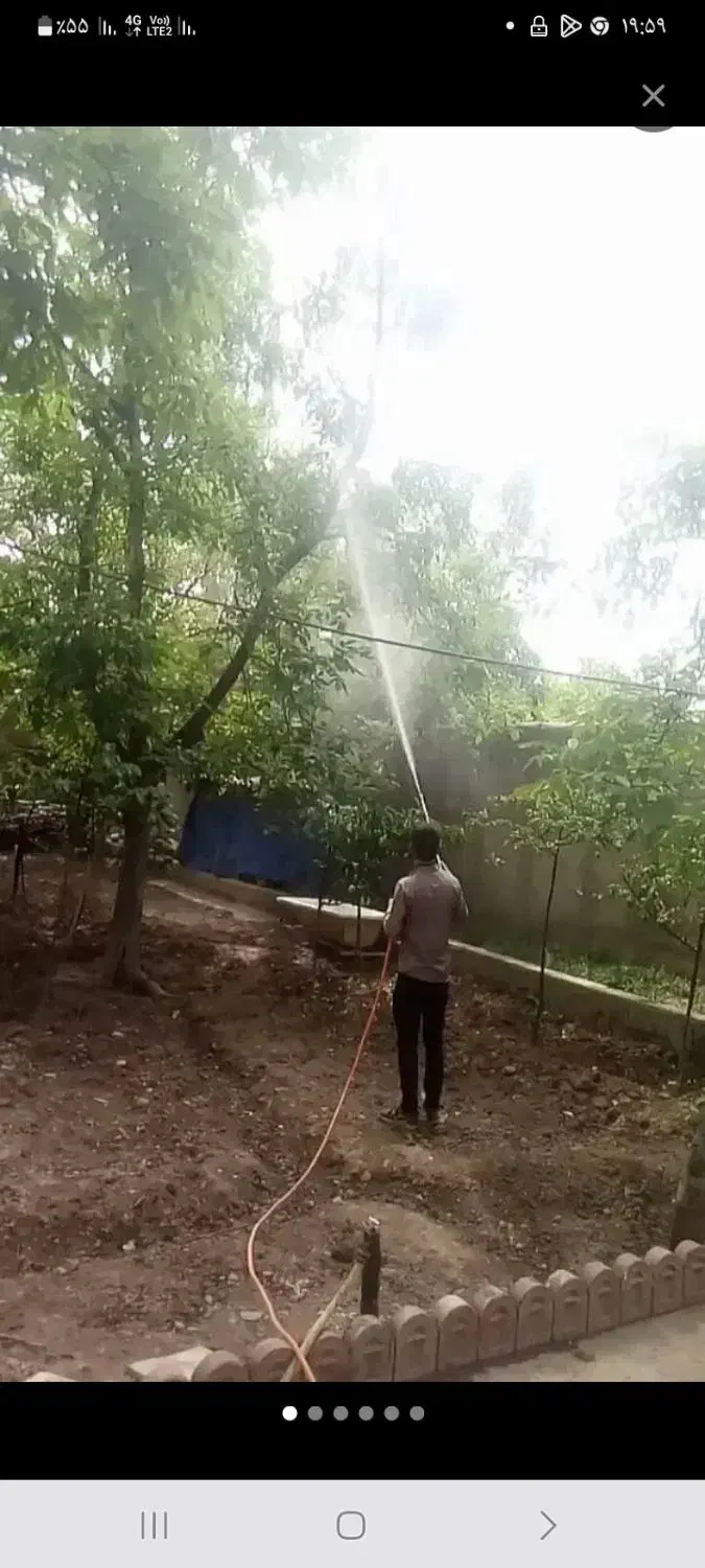 باغبانی و درختکاری (سم پاشی )|خدمات باغبانی و درختکاری|تهران, ونک|دیوار