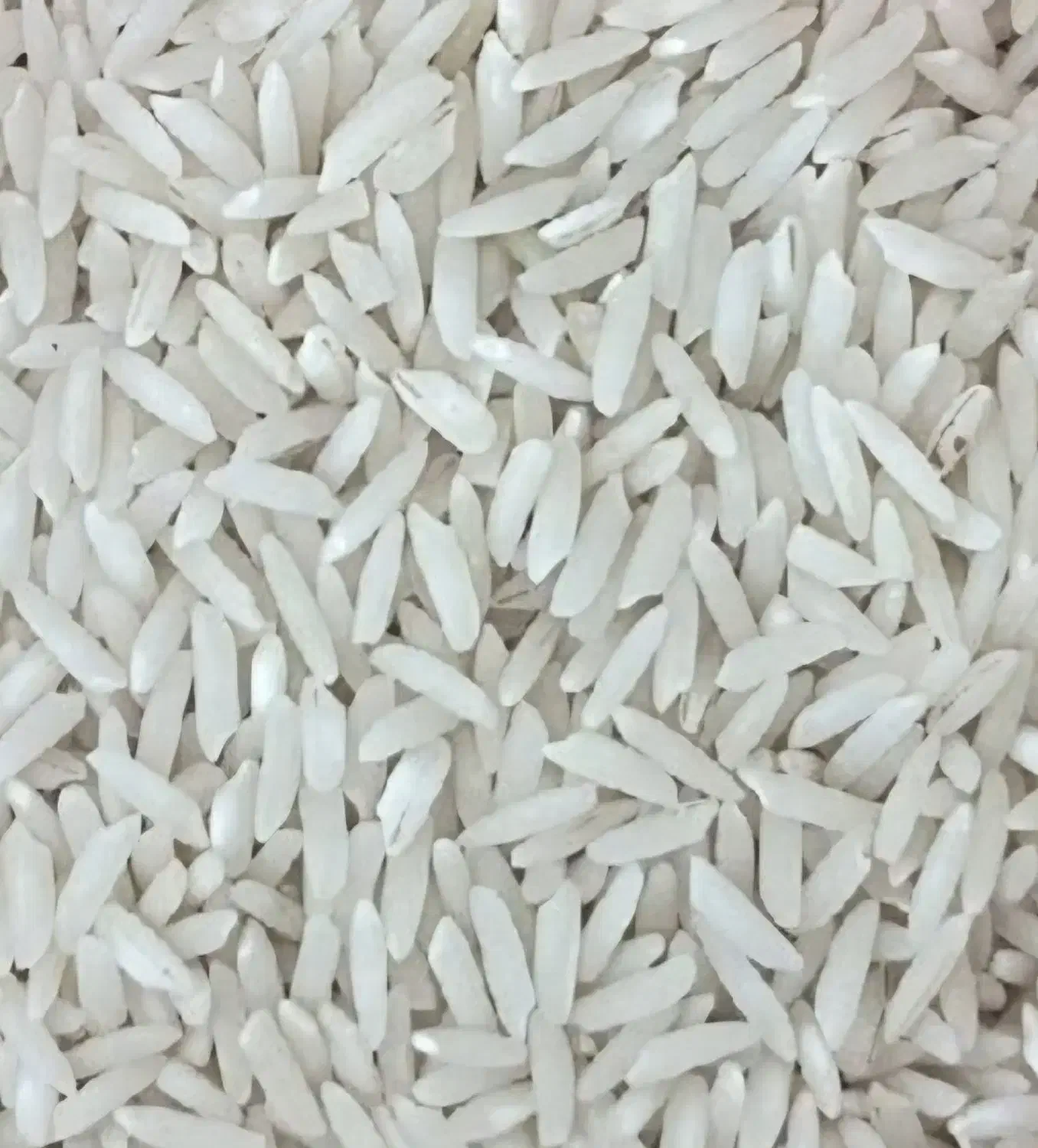 برنج ونیم دانه طارم هاشمی آمل|خوردنی و آشامیدنی|قائم‌شهر, |دیوار